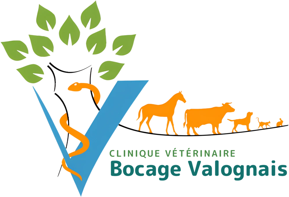 Clinique Vétérinaire du Bocage Valognais